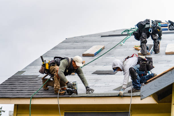 Professional Emergency Roof Repair technician working in Mccutcheon Field, NC